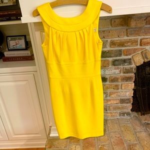 Sleeveless Trina Turk dress (size 2)